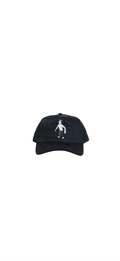 .COM Snapback